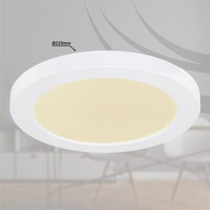 LED plafonjera slim 18W-globo