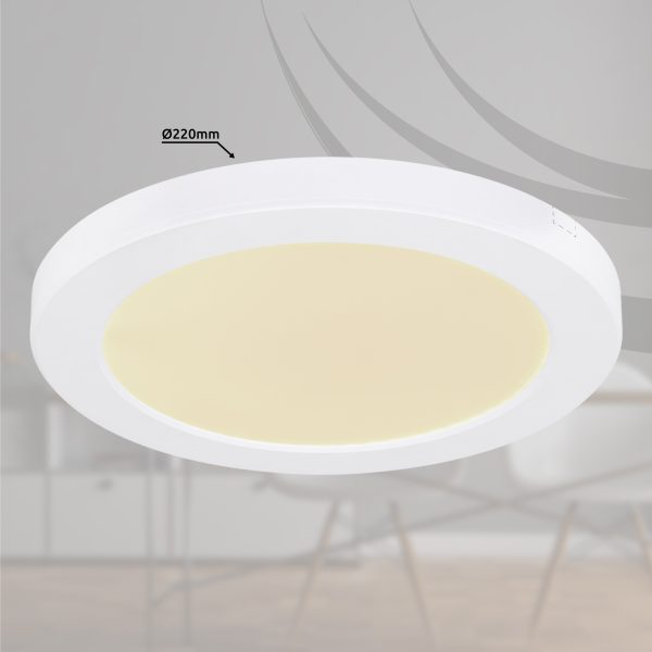 LED plafonjera slim 18W-globo