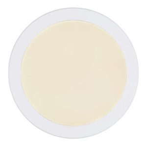 LED plafonjera 24W/bijela- globo