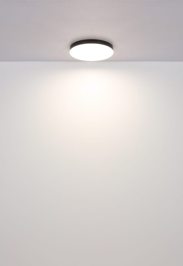 LED plafonjera 24W/bijela- globo - Image 2