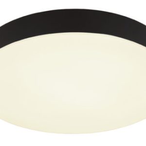 LED plafonjera 24W/crna- globo