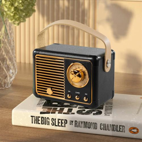 Radio/bluetooth zvučnik na USB punjenje- crni