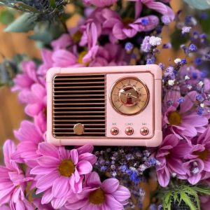 Radio/bluetooth zvučnik na USB punjenje- rozi